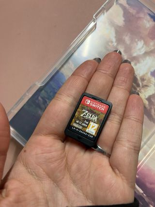 Zelda Breath of the Wild Nintendo Switch