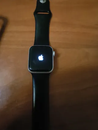 Apple Watch Plata