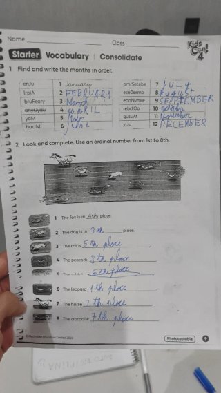 Profesor particular a domicilio, clases y refuerzo