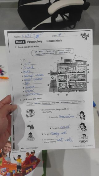 Profesor particular a domicilio, clases y refuerzo