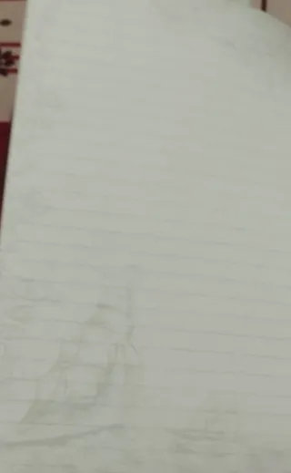 Diario Shangai China 110