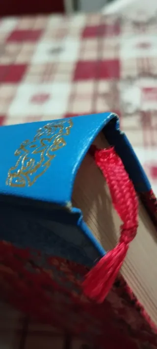 Diario Shangai China 110