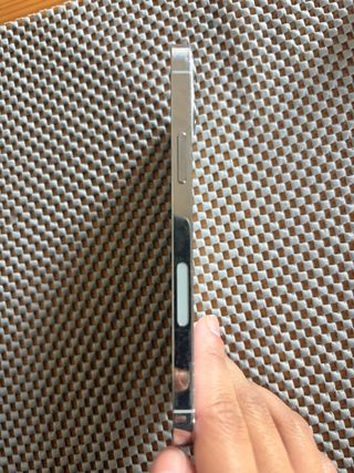 iPhone 12 Pro Gris Plata