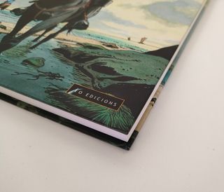 El gavilán. Primer ciclo