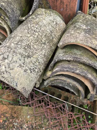 Tejas de Barro Antiguas