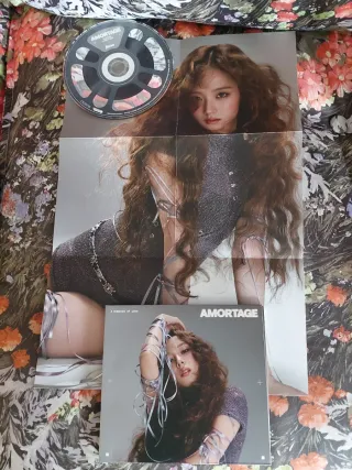 Blackpink Jisoo Kill This Love y Amortage