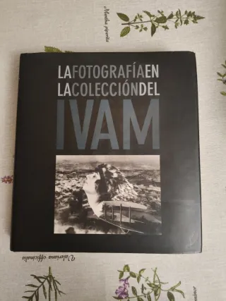 La fotografía en la colección IVAM