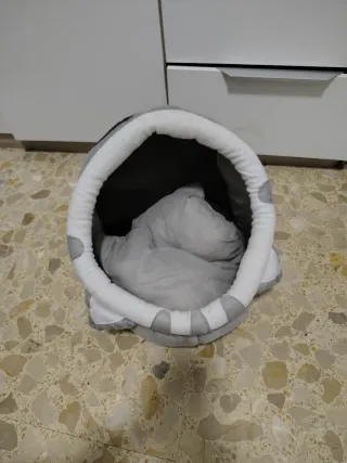Cama para gato/perro pequeña