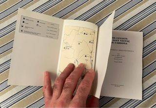 Col·legiata de Sant Vicenç de Cardona guia hist...