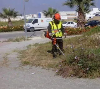 Servicio de jardinería profesional