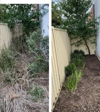 Jardinero económico y limpiezade parcelas