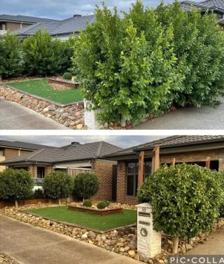 Jardinero económico y limpiezade parcelas