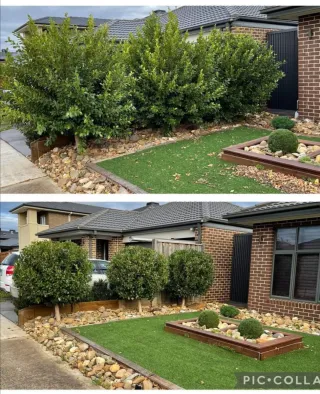 Jardinero económico y limpiezade parcelas