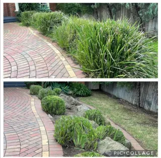 Jardinero económico y limpiezade parcelas