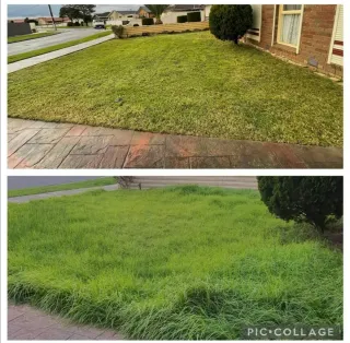 Jardinero económico y limpiezade parcelas