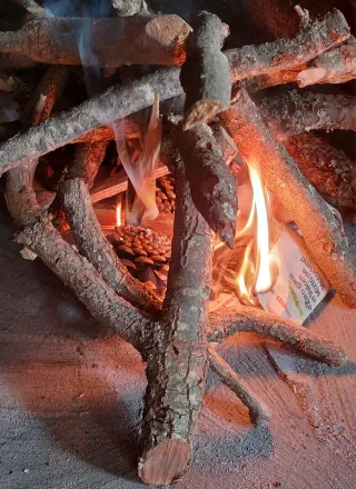 ASTILLAS RESINOSAS PARA ENCENDIDO RÁPIDO (TEAS)