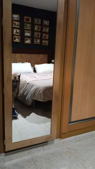 Espejo organizador de madera y cristal