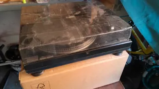 Plato Giradiscos Negro