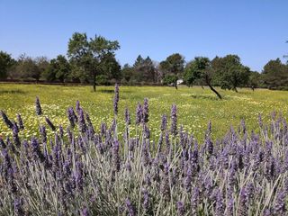 Chalet en alquiler en Sant Antoni de Portmany
