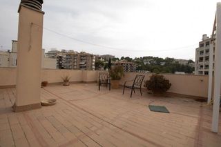 Piso en alquiler en El Terreno en Palma de Mallorca