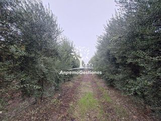 Terreno en venta en Palma del Río