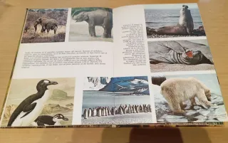 Los misterios del mundo animal