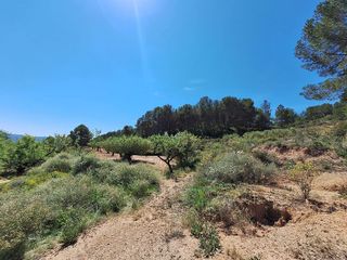 Terreno en venta en Castalla