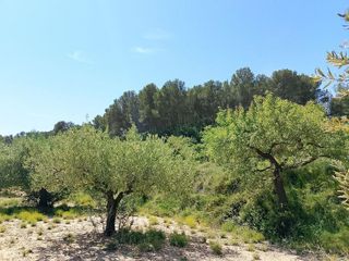 Terreno en venta en Castalla