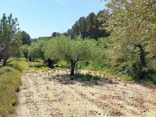 Terreno en venta en Castalla