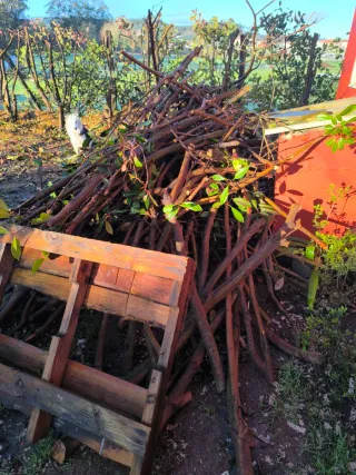 Legna per caminetto o barbecue