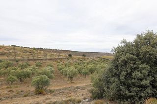Terreno en venta en Barrio de la Vega en Monachil