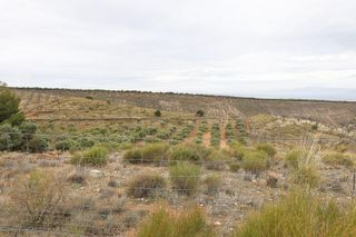 Terreno en venta en Barrio de la Vega en Monachil