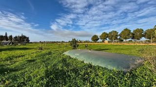 Terreno en venta en Campos