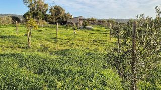 Terreno en venta en Campos