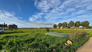 Terreno en venta en Campos