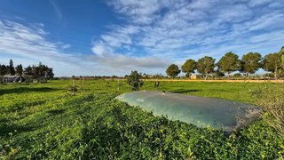 Terreno en venta en Campos