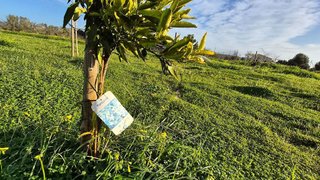 Terreno en venta en Campos