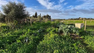 Terreno en venta en Campos