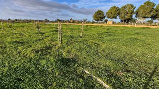 Terreno en venta en Campos