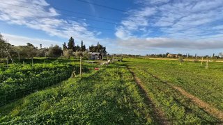 Terreno en venta en Campos