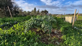 Terreno en venta en Campos