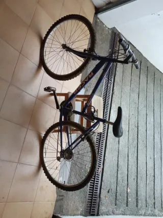 Bicicleta mujer Racer azul