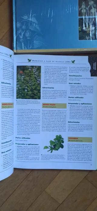 Enciclopedia de medicina natural y salud