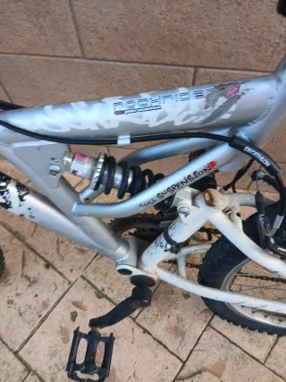 Bicicleta de Montaña