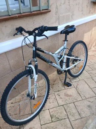 Bicicleta de Montaña