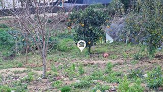 Chalet en venta en Sant Andreu de Llavaneres