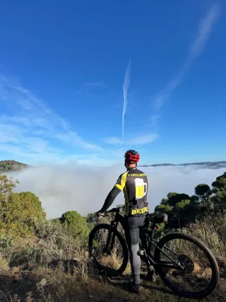 2 collares y 2 mandos