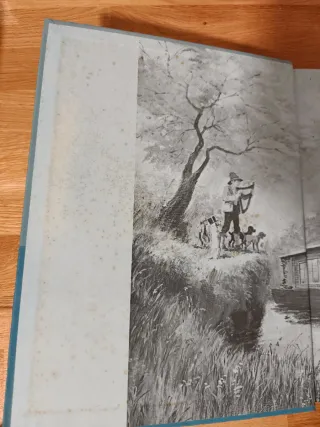 Libro Sin familia de Héctor Malot