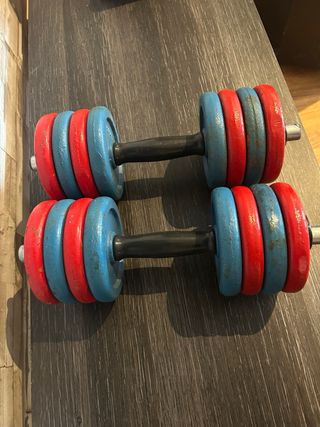 Coppia di manubri Salter 16 KG