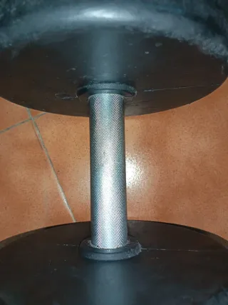 Mancuernas Technogym 32kg (Par)